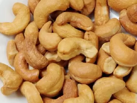 Anacardo